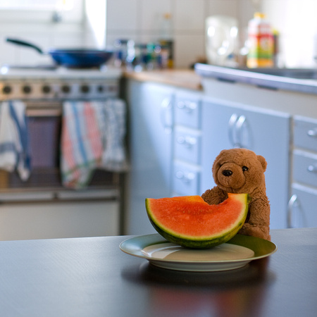 Watermelon Bear #2