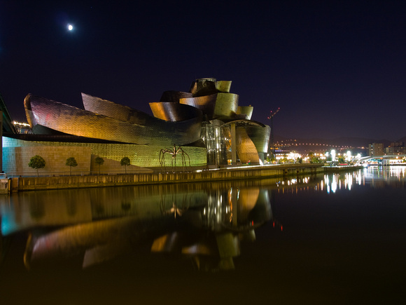 Guggenheim Museum Bilbao at Night