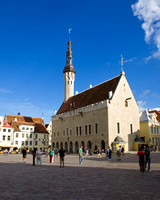 Gothic Town Hall
